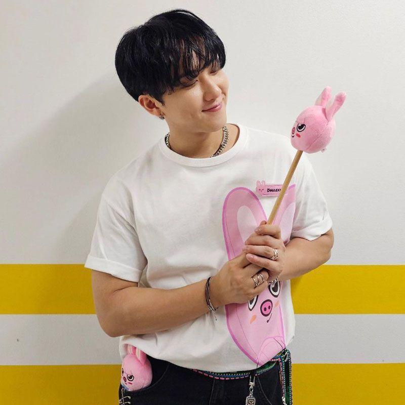 STRAY KIDS SKZOO T-SHIRTS 100% BAUMWOLLE