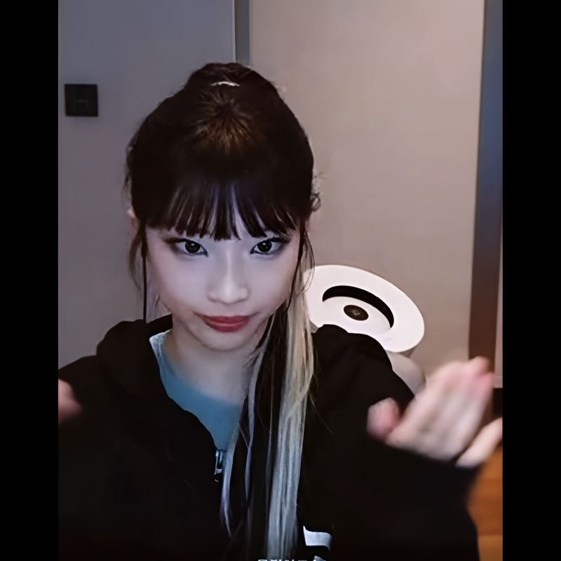 BABYMONSTER HOODIE WIR GEHEN HOCH