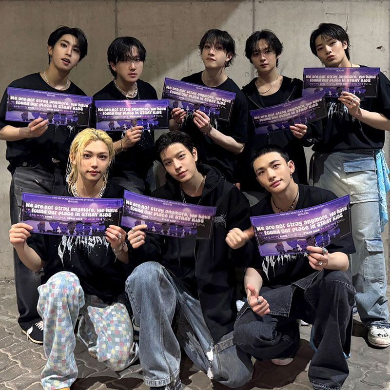 STRAY KIDS MERCH T-SHIRTS EVIL SKZOO 100% COTTON